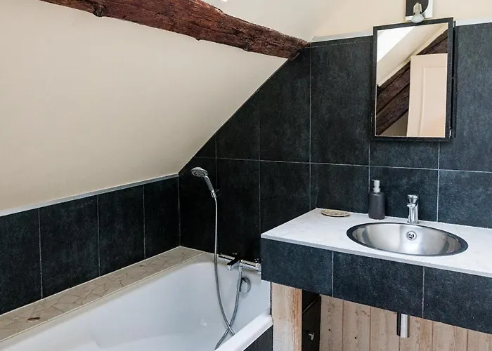 Апартаменты Le Duplex De Lise *